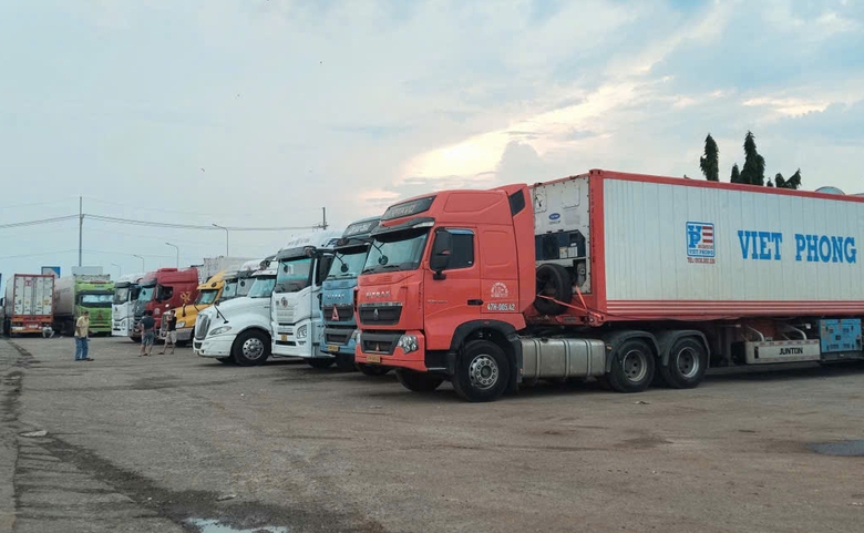 Đồng Nai: Chỉ đạo xử l&yacute; gấp t&igrave;nh trạng &ugrave;n tắc xe container chở sầu ri&ecirc;ng ở Dầu Gi&acirc;y- Ảnh 1.