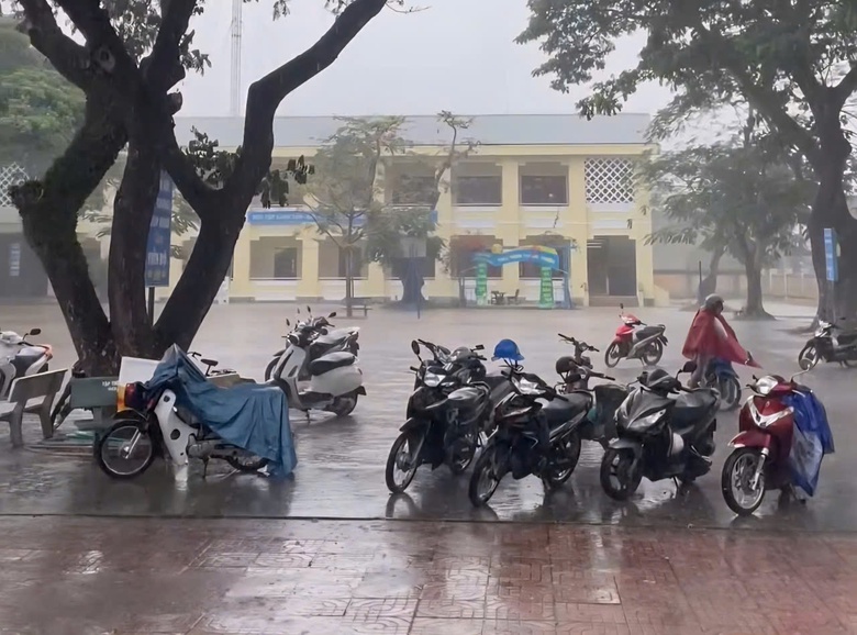 Quảng Ng&atilde;i: "Mưa v&agrave;ng" giải nhiệt sau nhiều th&aacute;ng nắng n&oacute;ng gay gắt - Ảnh 4.
