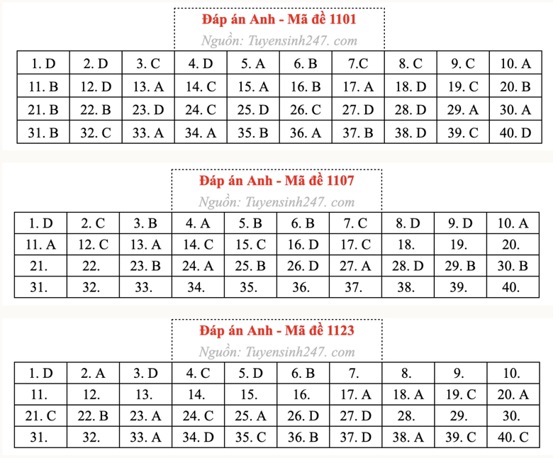 Gợi &yacute; giải đề thi tốt nghiệp THPT 2026 m&ocirc;n Tiếng Anh - Ảnh 6.