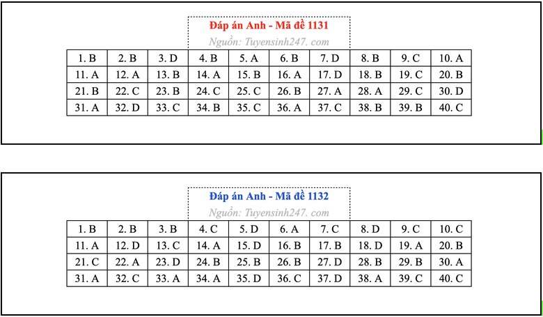 Gợi &yacute; giải đề thi tốt nghiệp THPT 2026 m&ocirc;n Tiếng Anh - Ảnh 9.