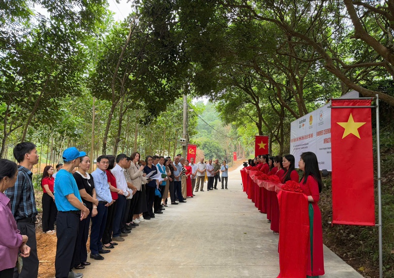Nguồn vốn UNDP hồi sinh những vùng quê từng oằn mình sau thiên tai ở Thái Nguyên - Ảnh 4.