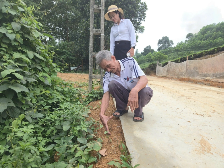Nguồn vốn UNDP hồi sinh những vùng quê từng oằn mình sau thiên tai ở Thái Nguyên - Ảnh 1.
