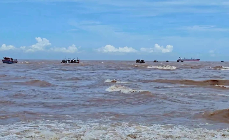 Vi phạm quy định trong khai th&aacute;c thủy sản, chủ t&agrave;u c&aacute; ở Quảng Trị bị phạt 160 triệu đồng - Ảnh 1.