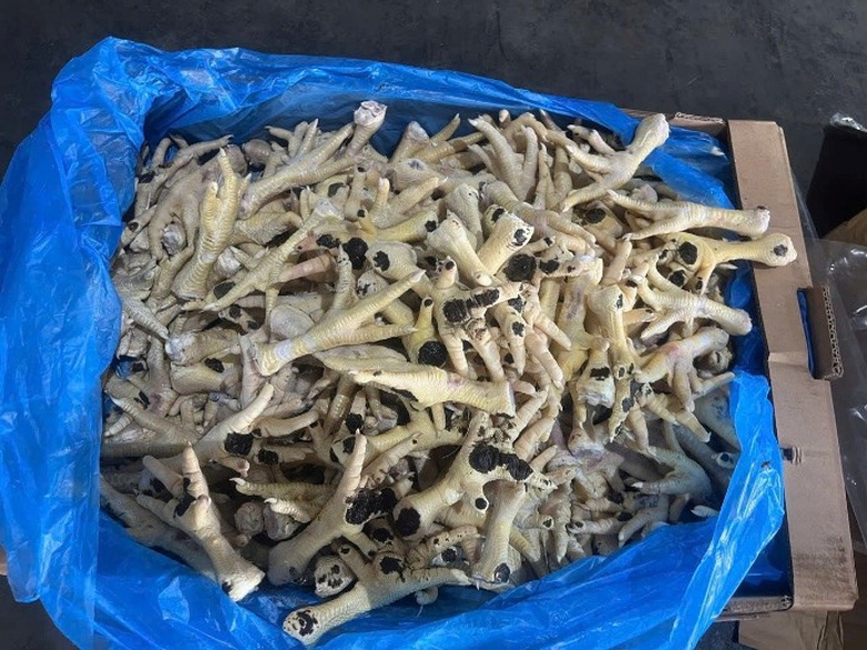 C&ocirc;ng an H&agrave; Nội khởi tố nữ gi&aacute;m đốc bu&ocirc;n lậu 10.000 tấn ch&acirc;n g&agrave; đ&ocirc;ng lạnh - Ảnh 2.