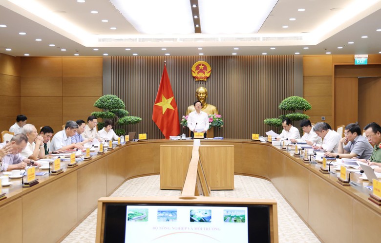 Quy hoạch sử dụng đất đai phải đi trước một bước để mở đường cho ph&aacute;t triển - Ảnh 1.