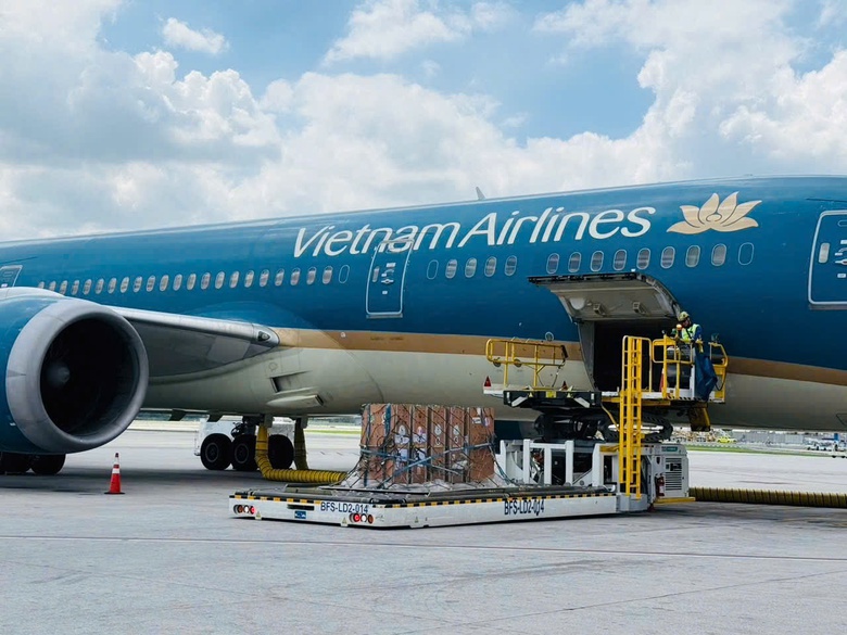 Chuyến bay đặc biệt chắp c&aacute;nh cho sếu đầu đỏ hồi sinh tr&ecirc;n v&ugrave;ng đất Tr&agrave;m Chim - Ảnh 1.