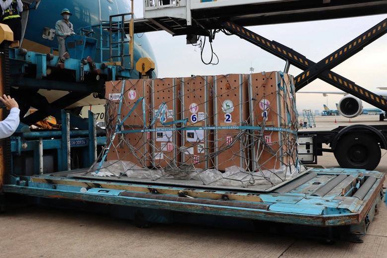 Chuyến bay đặc biệt chắp c&aacute;nh cho sếu đầu đỏ hồi sinh tr&ecirc;n v&ugrave;ng đất Tr&agrave;m Chim - Ảnh 2.