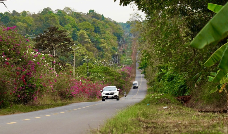 Sắp khởi động đoạn đầu tuyến đường 44,5km kết nối cầu M&atilde; Đ&agrave; đến V&agrave;nh đai 4 TP.HCM- Ảnh 4.