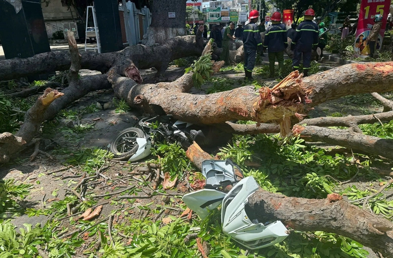 Kh&aacute;nh H&ograve;a: Cứu người đ&agrave;n &ocirc;ng bị c&acirc;y xanh g&atilde;y đ&egrave; tr&uacute;ng khi đang chạy xe m&aacute;y- Ảnh 1.