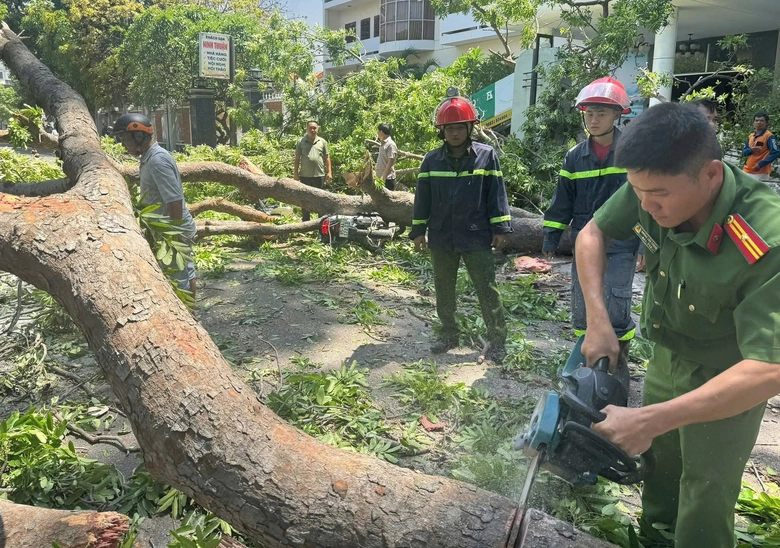 Kh&aacute;nh H&ograve;a: Cứu người đ&agrave;n &ocirc;ng bị c&acirc;y xanh g&atilde;y đ&egrave; tr&uacute;ng khi đang chạy xe m&aacute;y- Ảnh 2.