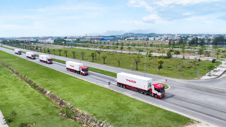 THILOGI: Ph&aacute;t triển chuỗi cung ứng lạnh, n&acirc;ng cao gi&aacute; trị h&agrave;ng Việt Nam xuất khẩu- Ảnh 3.