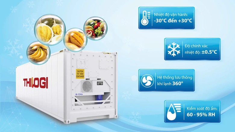THILOGI: Ph&aacute;t triển chuỗi cung ứng lạnh, n&acirc;ng cao gi&aacute; trị h&agrave;ng Việt Nam xuất khẩu- Ảnh 2.