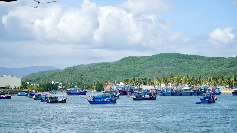 Gia Lai: Siết chặt quản lý tàu cá không đủ điều kiện, gắn trách nhiệm người đứng đầu - Ảnh 1.