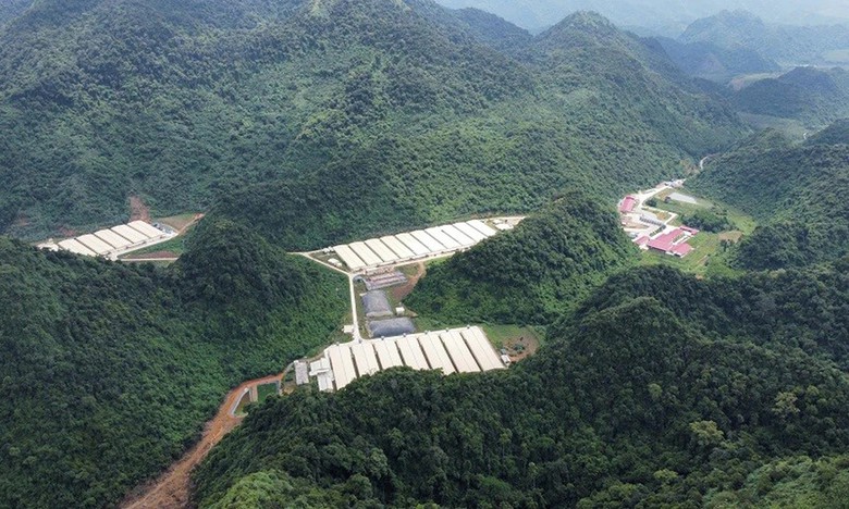 Thanh Hoá: Ba người tử vong, bốn người bị thương ở trang trại lợn - Ảnh 1.