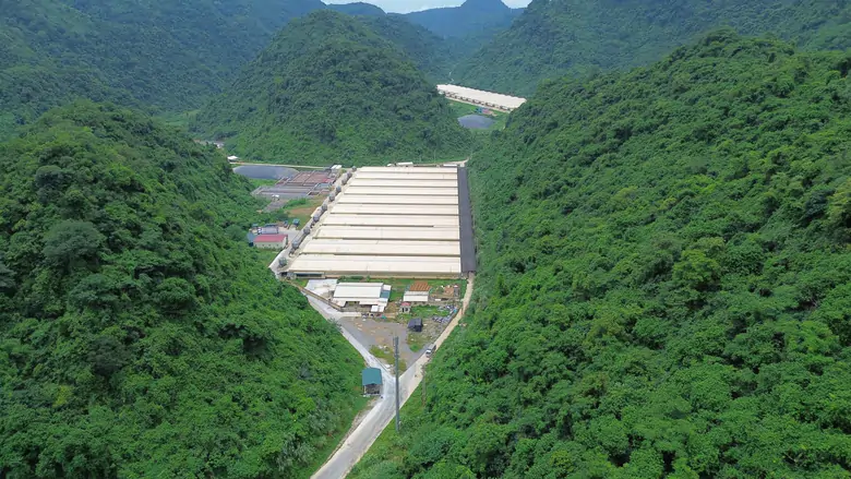 Khởi tố điều tra vụ tai nạn lao động ở trang trại lợn khiến 5 người tử vong - Ảnh 1.