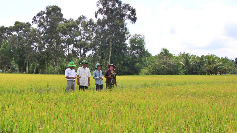 C&agrave; Mau: Khắc phục điểm nghẽn hạ tầng, sẵn s&agrave;ng tăng tốc trong giai đoạn mới - Ảnh 2.