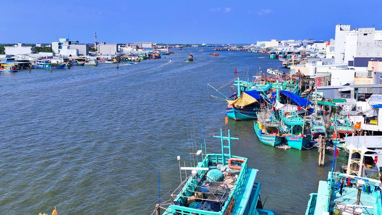C&agrave; Mau: Đẩy mạnh số h&oacute;a quản l&yacute; t&agrave;u c&aacute;, quyết t&acirc;m gỡ thẻ v&agrave;ng IUU - Ảnh 1.