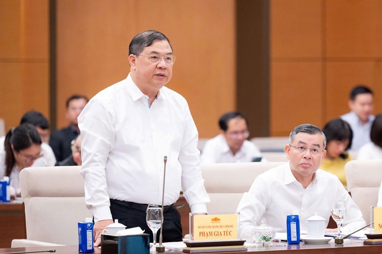 Ủy ban Thường vụ Quốc hội cho &yacute; kiến về th&iacute; điểm cơ chế, ch&iacute;nh s&aacute;ch đặc th&ugrave; x&acirc;y dựng khu đ&ocirc; thị lấn biển tại Đ&agrave; Nẵng - Ảnh 8.