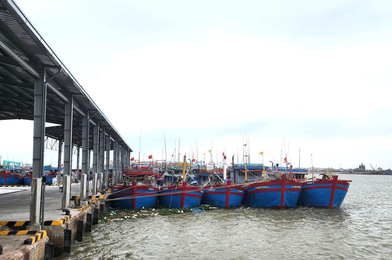 Ninh Bình đầu tư 9 . 600 Tỷ đồng phát triển kinh tế biển bền vững 2026 - Ảnh 2.