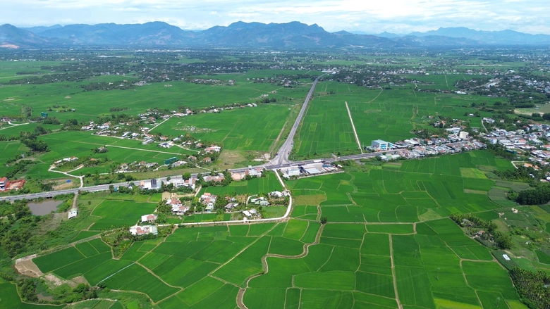 Quảng Ng&atilde;i chi 800 tỷ đồng l&agrave;m đường nối cao tốc, QL1 với đường ven biển - Ảnh 3.