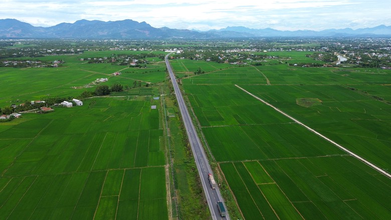 Vụ x&atilde; b&aacute;o thiếu c&aacute;n bộ chuy&ecirc;n m&ocirc;n quy hoạch ở Quảng Ng&atilde;i: X&atilde; lập Hội đồng để thực hiện - Ảnh 3.