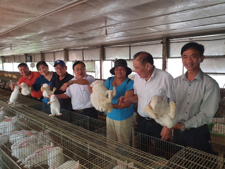 Ph&iacute; gia c&ocirc;ng thịt thỏ cao gấp 4 lần thịt lợn, Hội Chăn nu&ocirc;i thỏ l&ecirc;n tiếng - Ảnh 1.