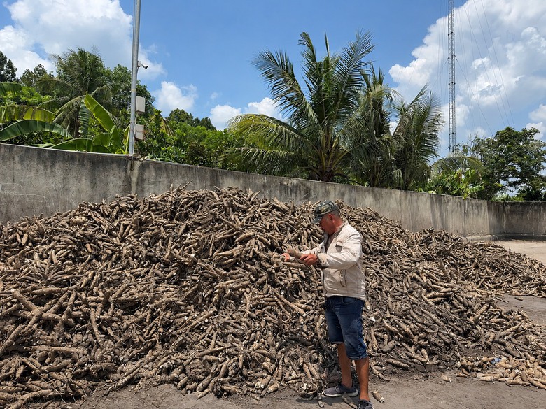 B&agrave;i 3: Sắn nhiều, nguy&ecirc;n liệu cho ethanol vẫn chưa chắc đủ  - Ảnh 2.