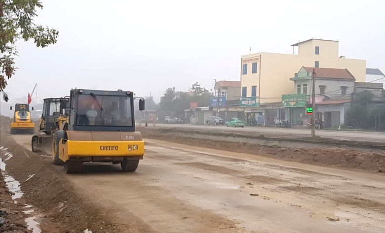 Ninh B&igrave;nh chuyển đổi gần 9ha rừng cho dự &aacute;n giao th&ocirc;ng trọng điểm 2026 - Ảnh 2.