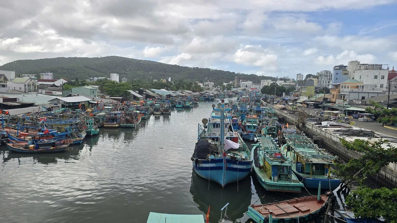 An Giang quản l&yacute; 96 tuyến đường thủy nội địa d&agrave;i 1.634km - Ảnh 1.