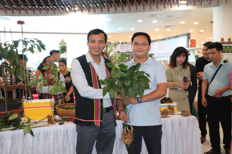 Đà Nẵng: Khai mạc lễ hội Sâm Ngọc Linh - Tinh hoa dược liệu thế giới - Ảnh 2.