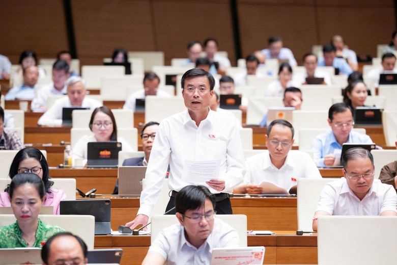 ĐBQH: Siết chỉ ti&ecirc;u tư ph&aacute;p nhưng kh&ocirc;ng để ph&aacute;t sinh &aacute;p lực oan sai - Ảnh 3.
