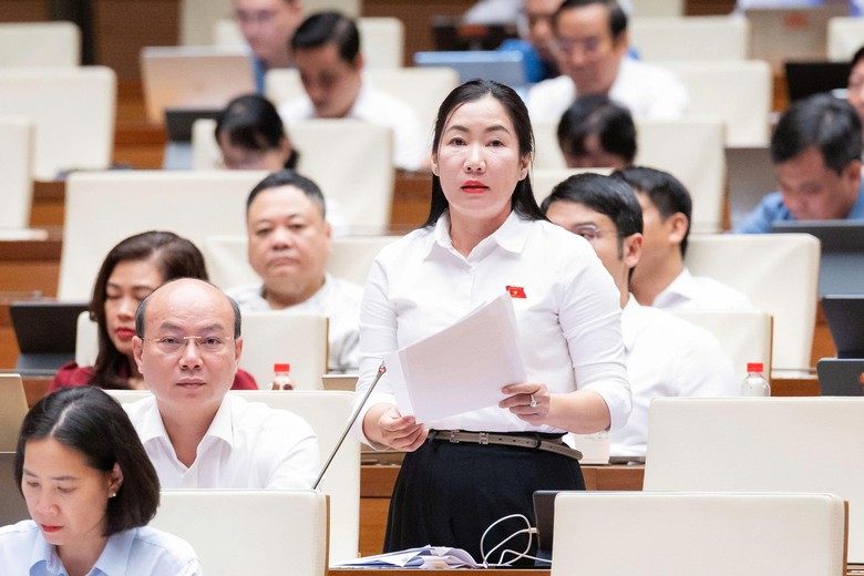 ĐBQH: Siết chỉ ti&ecirc;u tư ph&aacute;p nhưng kh&ocirc;ng để ph&aacute;t sinh &aacute;p lực oan sai - Ảnh 2.
