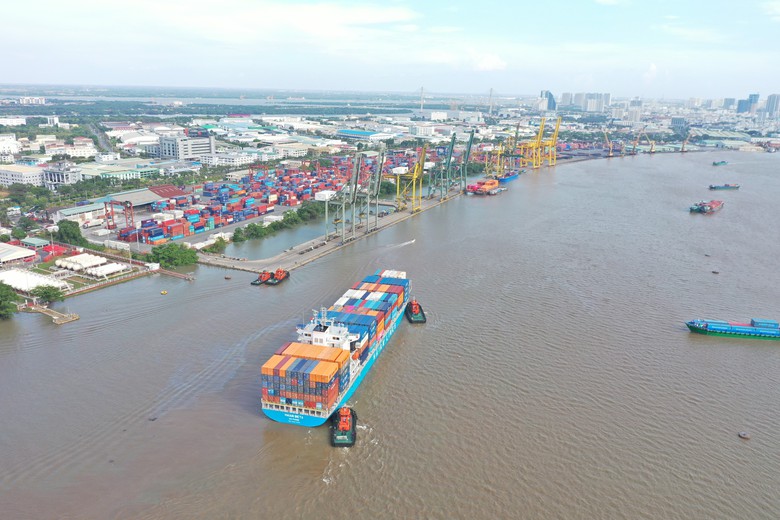 H&agrave;ng hải tăng cường chuẩn ho&aacute;, đồng bộ dữ liệu về phương tiện v&agrave; thuyền vi&ecirc;n - Ảnh 1.