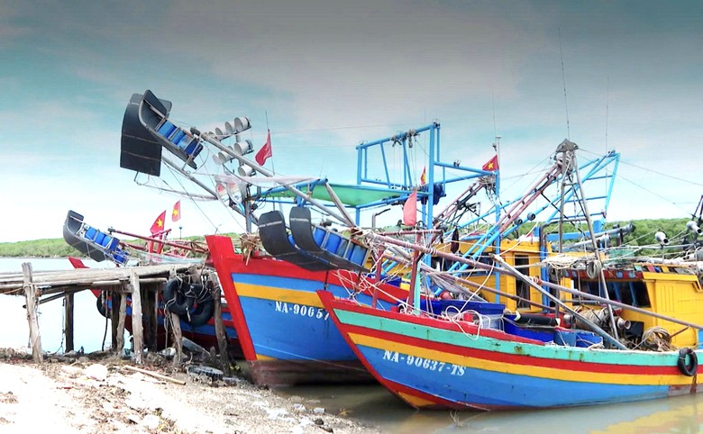  - Ảnh 3.