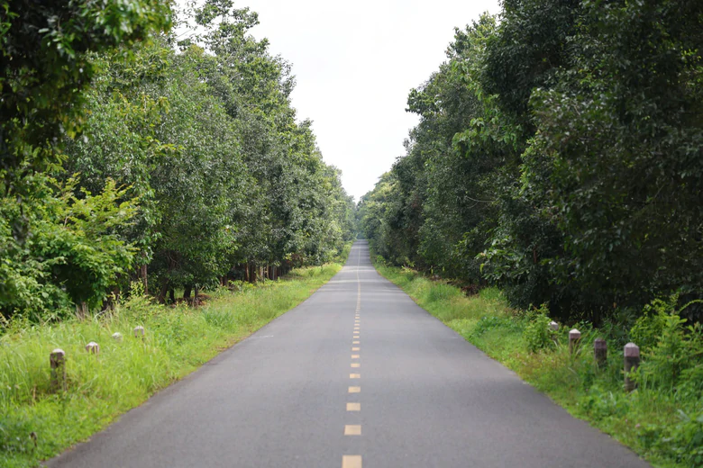 Đồng Nai th&ocirc;ng qua chuyển đổi 2,67ha rừng để l&agrave;m cầu M&atilde; Đ&agrave; - Ảnh 2.