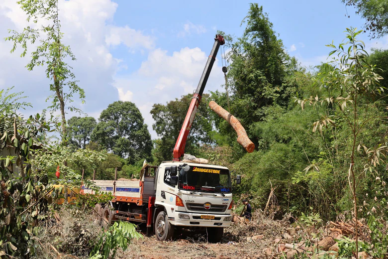 Đồng Nai th&ocirc;ng qua chuyển đổi 2,67ha rừng để l&agrave;m cầu M&atilde; Đ&agrave; - Ảnh 3.