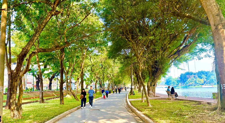 Cần chuẩn chung cho c&ocirc;ng vi&ecirc;n v&agrave; c&acirc;y xanh phục vụ người d&acirc;n tốt hơn năm 2026 - Ảnh 2.