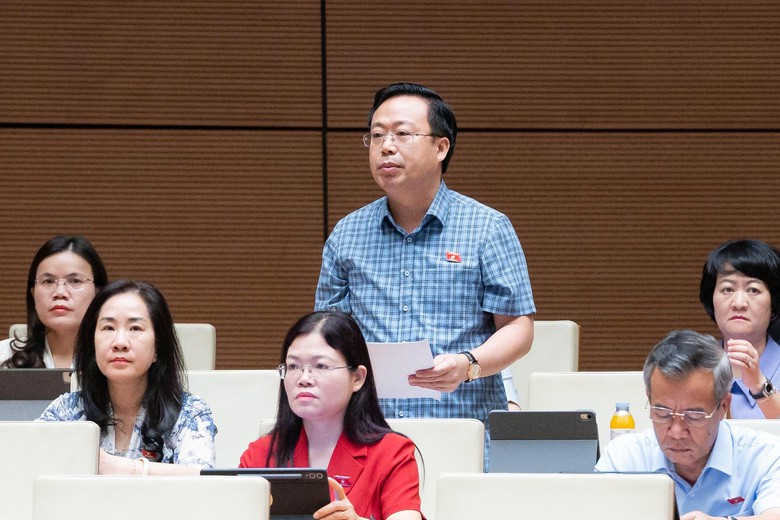 ĐBQH: T&aacute;i định cư sau thu hồi đất phải hướng tới t&aacute;i thiết cuộc sống cho người d&acirc;n - Ảnh 1.