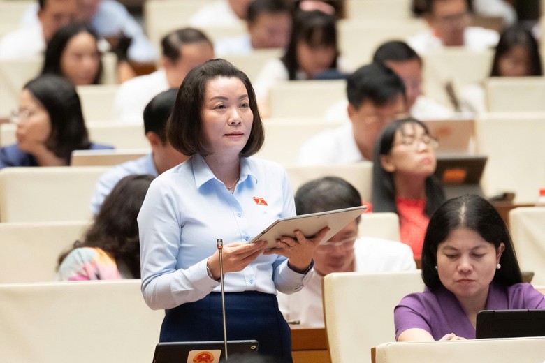 Sửa Luật Đất đai: Ph&acirc;n cấp mạnh đi đ&ocirc;i kiểm so&aacute;t quyền lực trong quản l&yacute; đất đai - Ảnh 1.