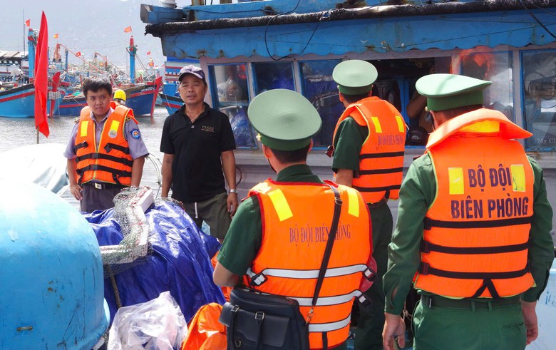 - Ảnh 2.