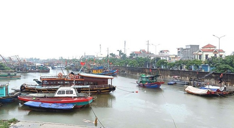 Hải Phòng: Hơn 1.600 tàu thuyền đã neo đậu an toàn trước bão số 4 - Ảnh 3.
