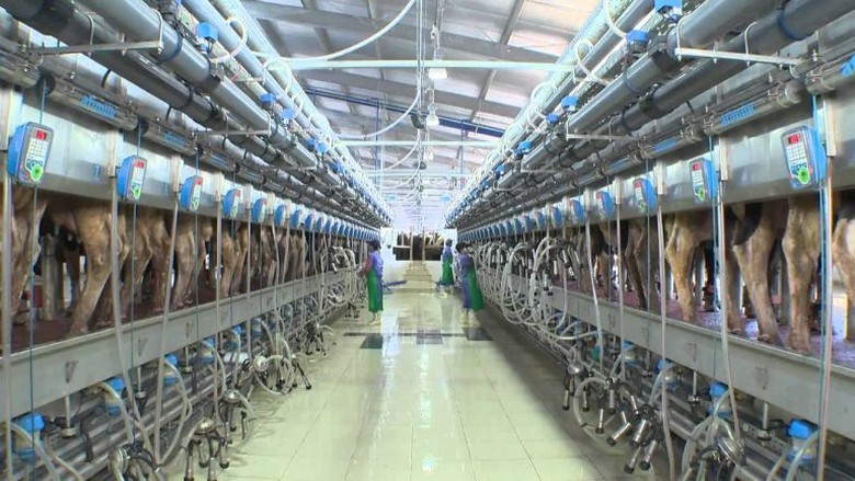 Sữa tươi thanh tr&ugrave;ng TH true MILK - ph&eacute;p thử khắt khe cho cam kết &ldquo;Thật sự thi&ecirc;n nhi&ecirc;n&rdquo; - Ảnh 3.