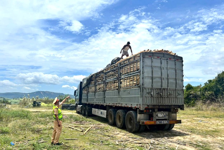 Đắk Lắk quyết liệt xử l&yacute; xe qu&aacute; tải đảm bảo an to&agrave;n giao th&ocirc;ng năm 2026 - Ảnh 3.