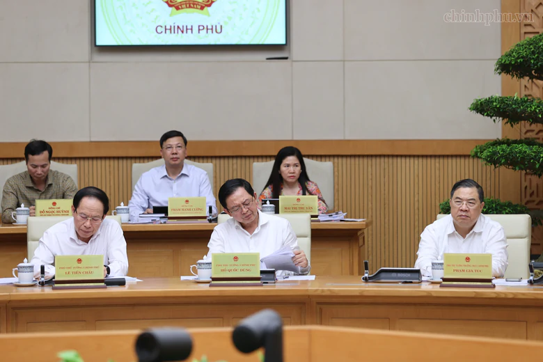 Thủ tướng Lê Minh Hưng: Khẩn trương hoàn thiện 11 dự án luật chuẩn bị trình Quốc hội - Ảnh 3.