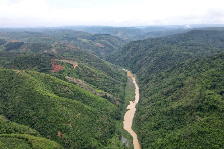 Lâm Đồng sắp có cầu dây văng dài gần 1,2km vượt sông Đồng Nai - Ảnh 1.