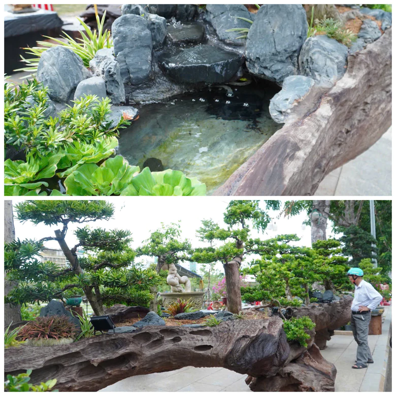 Độc đ&aacute;o những &ldquo;đại cảnh&rdquo; bonsai hội tụ tại Quảng trường xanh Quy Nhơn - Ảnh 4.