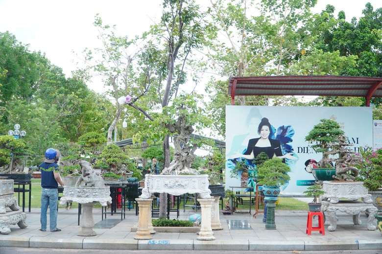 Độc đ&aacute;o những &ldquo;đại cảnh&rdquo; bonsai hội tụ tại Quảng trường xanh Quy Nhơn - Ảnh 12.