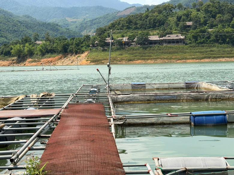 Ph&uacute; Thọ: Đảm bảo an to&agrave;n giao th&ocirc;ng tr&ecirc;n l&ograve;ng hồ s&ocirc;ng Đ&agrave; m&ugrave;a mưa lũ - Ảnh 6.