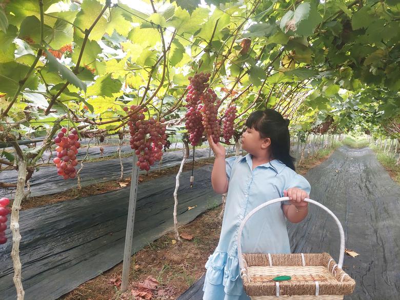 Ph&uacute; Thọ ph&acirc;n nh&oacute;m ti&ecirc;u ch&iacute;, tạo lộ tr&igrave;nh x&acirc;y dựng n&ocirc;ng th&ocirc;n mới sau s&aacute;p nhập - Ảnh 3.