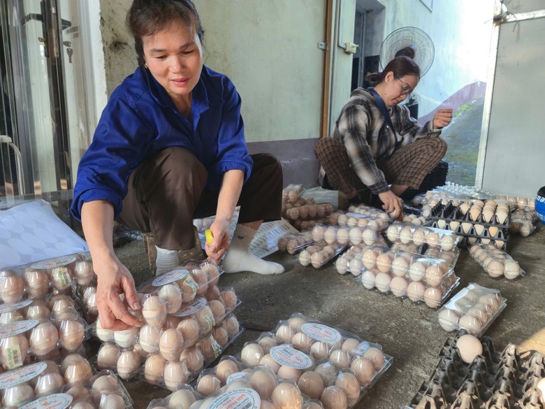 Th&aacute;i Nguy&ecirc;n kiến tạo n&ocirc;ng th&ocirc;n mới đ&aacute;ng sống, hiện đại v&agrave; bền vững- Ảnh 6.